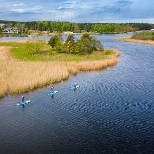 Dabas liegums “Lielupes grīvas pļavas”