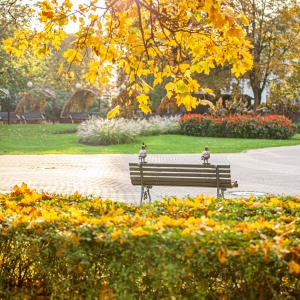 The White Gull of Jūrmala