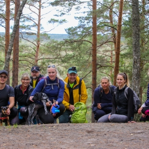 Hiking trail “The Forest Trail”
