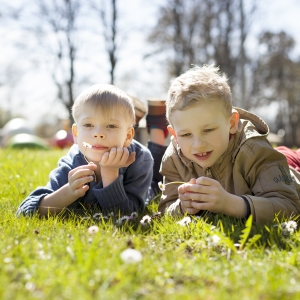 Mellužu parks un estrāde
