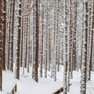 Ragakapos gamtos parkas