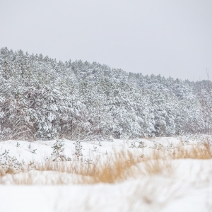 Ragakapos gamtos parkas