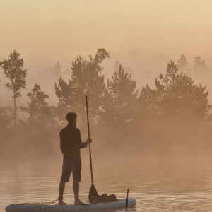 Sunrise bog SUP or boat trip and breakfast