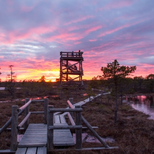 Suure Ķemeri raba rada