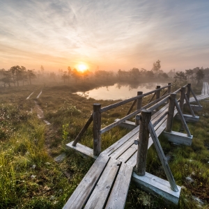 Suure Ķemeri raba rada