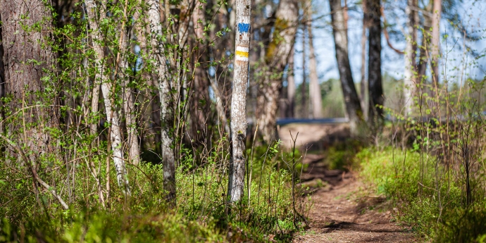 Hiking trail “The Forest Trail”