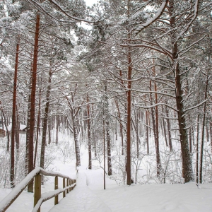 Ragakapos gamtos parkas