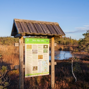 Boardwalk to sulphur ponds