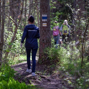 Hiking trail “The Forest Trail”
