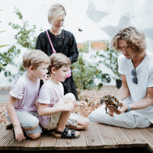 Jūrmalos drugelių namelyje