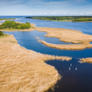 Dabas liegums “Lielupes grīvas pļavas”