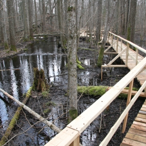 Juodalksnių pelkės takas (la. Melnalkšņu dumbrāja laipa)