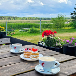 Summer Café | Seko Saulei