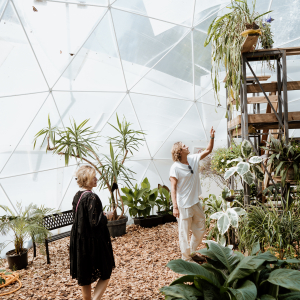 Jūrmalos drugelių namelyje