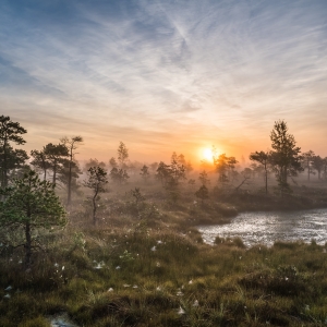 Suure Ķemeri raba rada