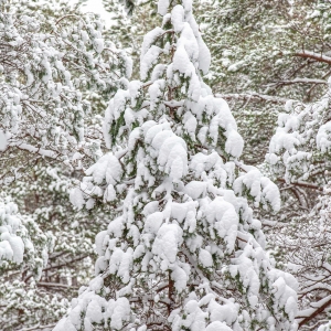 Ragakapos gamtos parkas