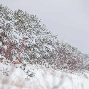 Ragakapos gamtos parkas