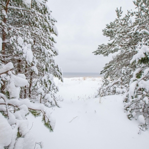 Ragakapos gamtos parkas