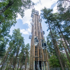 Dzintari Forest Park Viewing Tower