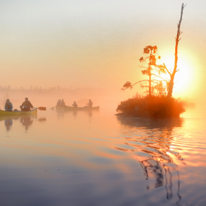 Boat trips in the Great Kemeri Bog