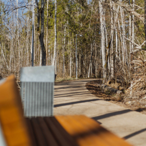 Ķemerų miško parkas