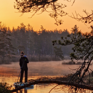 Sunrise bog SUP or boat trip and breakfast
