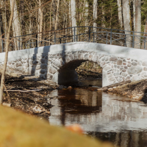 Ķemerų miško parkas