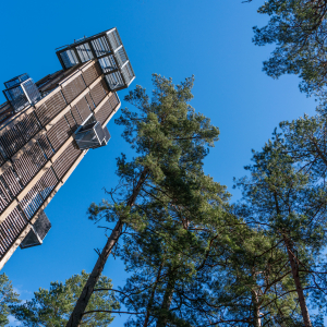 Dzintari Forest Park Viewing Tower