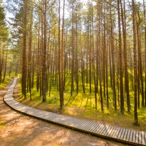 Ragakapos gamtos parkas