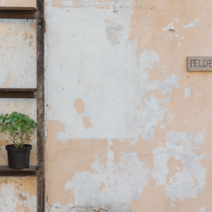 Õllepruulimise ühing Prusaks