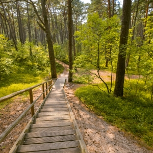 Ragakapos gamtos parkas