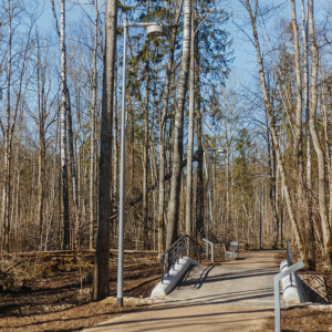 Ķemerų miško parkas