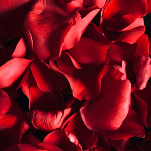 Sieviešu dienas meistarklase | ROOM Jūrmala