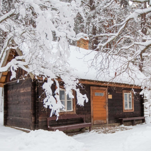 ZIEMAS SAULGRIEŽI | Jūrmalas Brīvdabas muzejs