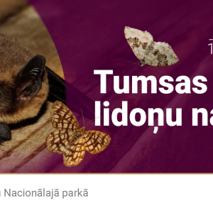 Tumsas lidoņu nakts | Ķemeru Nacionālais parks