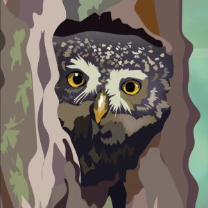 Putnu dienas | Pūču vakars Meža mājā Ķemeros