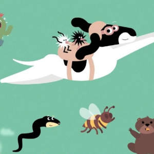 Mākslas un animācijas filmu programma | Star Cinema Jūrmala