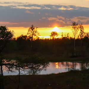 Pārgājiens ar purva kurpēm "Ziemas purva Tinderis" | Ķemeru tīrelis