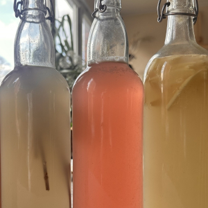 Fermentēšanas meistarklase | Dabas Mākslas Skola