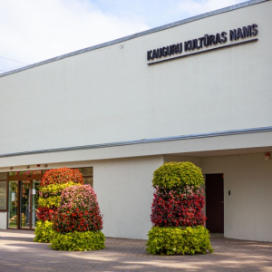 Ciklā #sekojamjaunajiem | Dinijas Mednes personālizstāde “Sapņu pavasaris" | Kauguru kultūras nams