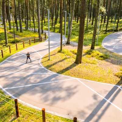 Dzintarų miško parkas