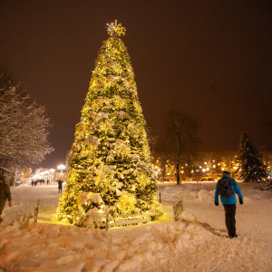 TOP 7 Things to See in Jūrmala in Winter