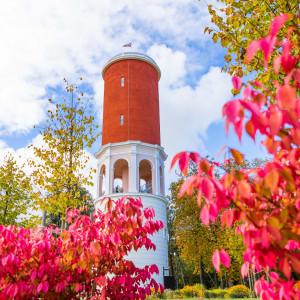 Golden autumn in the historical Ķemeri park in Jūrmala