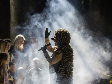 Night Expedition for Children “Nestāsti pasaciņas” in Dzintari Forest Park