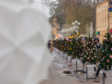 “Christmas Tree Promenade” Unveiled on Jomas Street