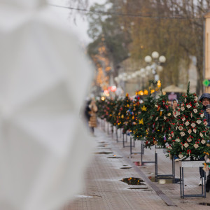 Jomos gatvėje atidaryta „Eglių promenada“ – nauja žiemos tradicija Jūrmaloje