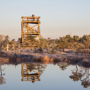 TrekTours Ķemeru pārgājiens Jūrmalā